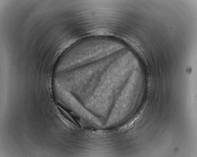 X0000098200881200805151226