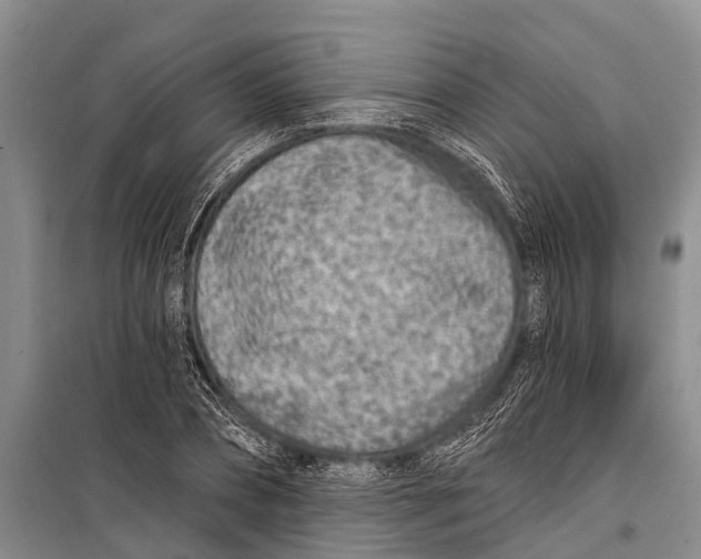 X0000098200882200805151226