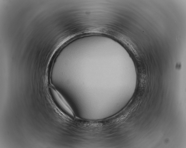 X0000098200884200805151226