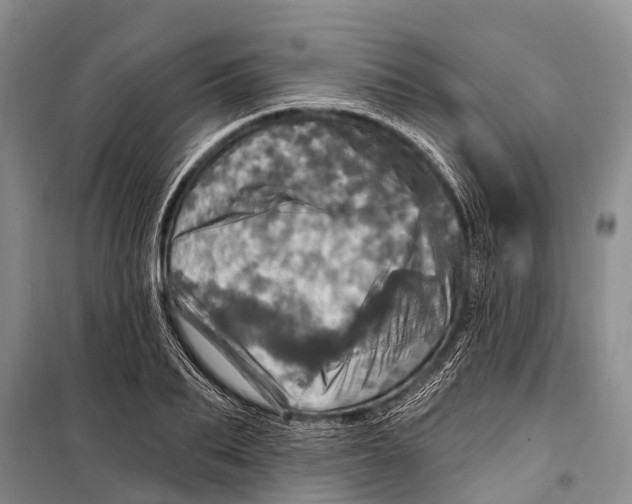 X0000098200887200805151226