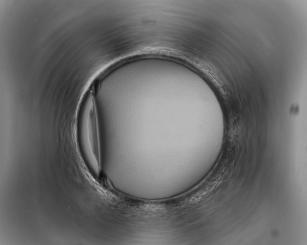 X0000098200888200805151226