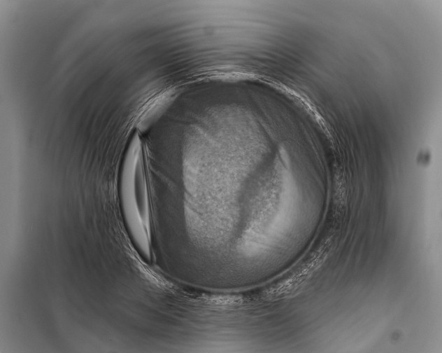 X0000098200889200805151226