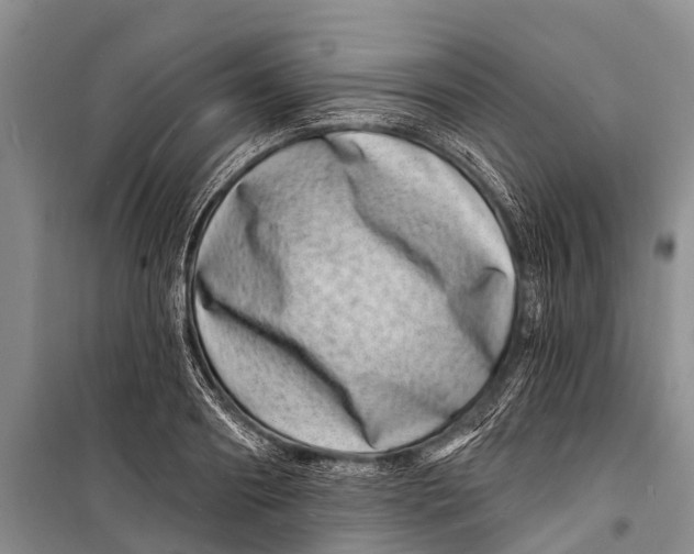 X0000098200890200805151226