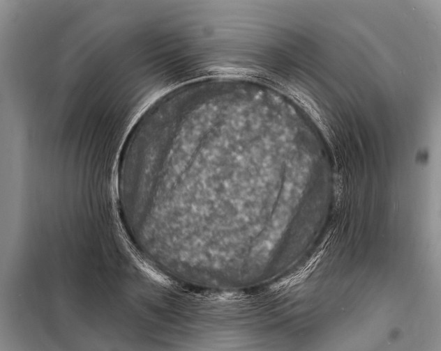 X0000098200891200805151226