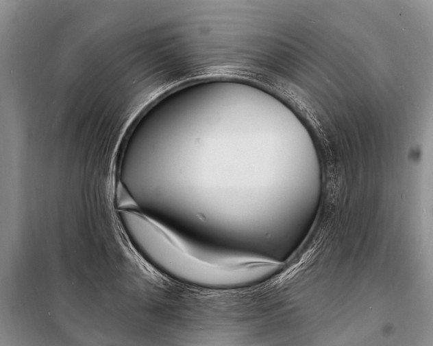 X0000098200892200805151226