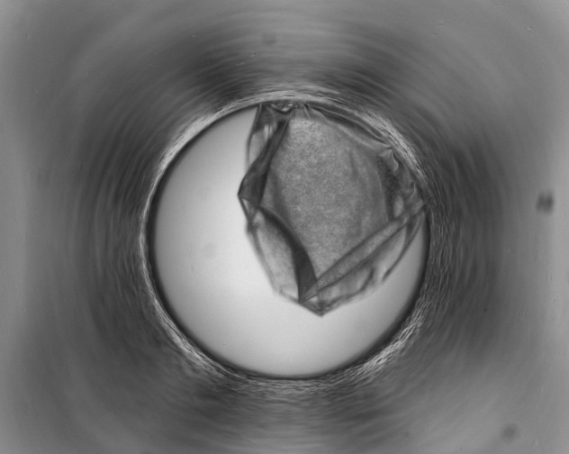 X0000098200893200805151226