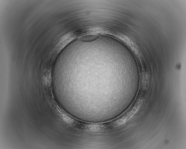 X0000098200897200805151226