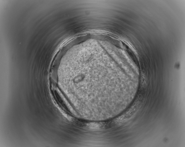 X0000098200898200805151226
