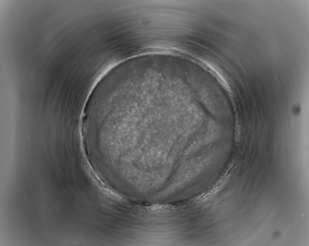 X0000098200899200805151226