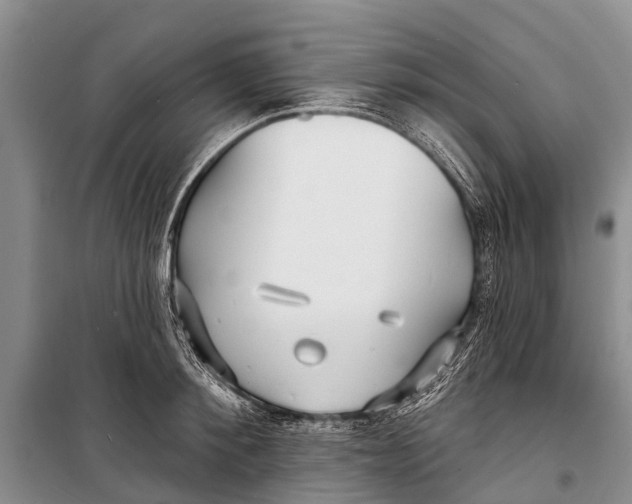 X0000098200900200805151226