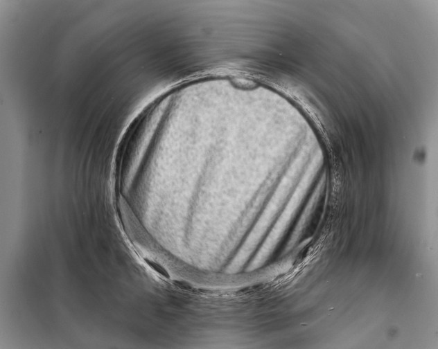 X0000098200902200805151226