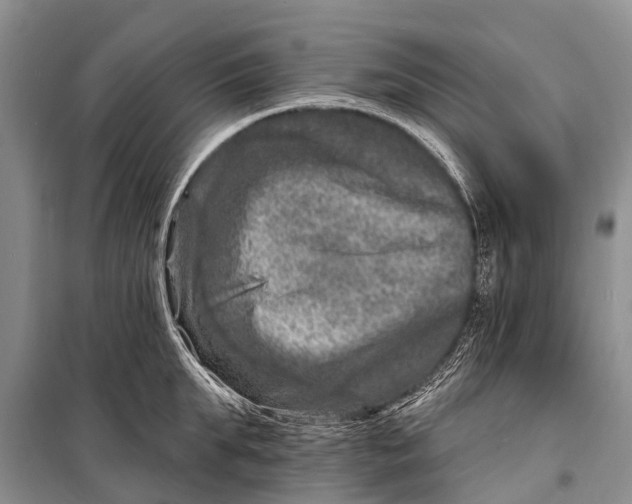 X0000098200903200805151226
