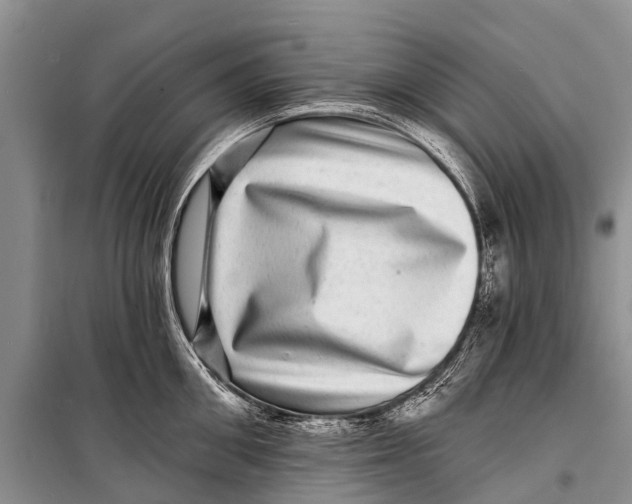 X0000098200906200805151225