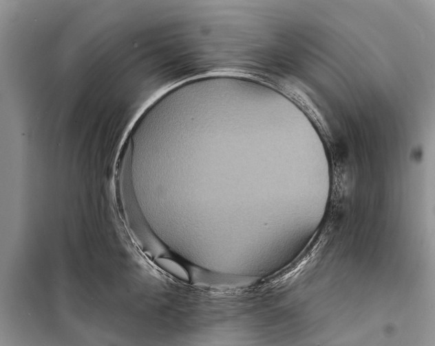 X0000098200908200805151225