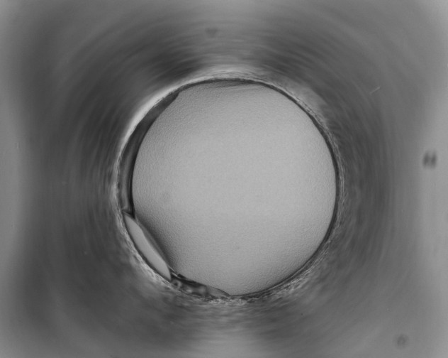 X0000098200912200805151225