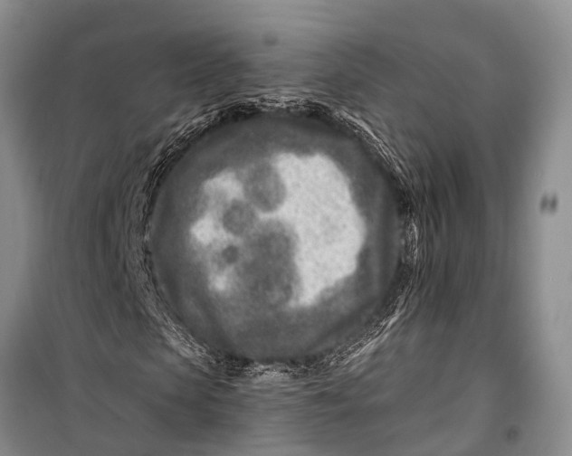 X0000098200913200805151225