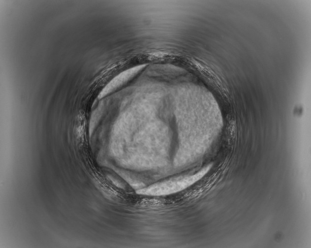 X0000098200914200805151225