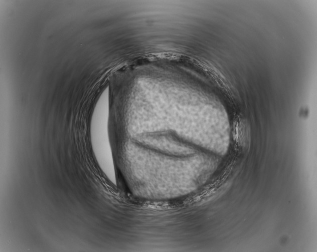 X0000098200915200805151225