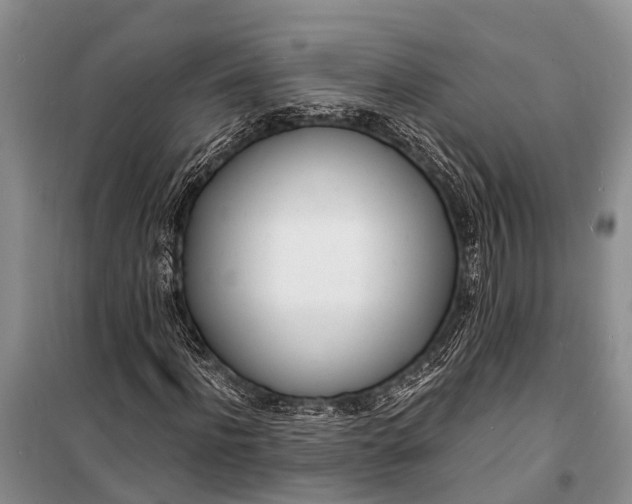 X0000098200916200805151225