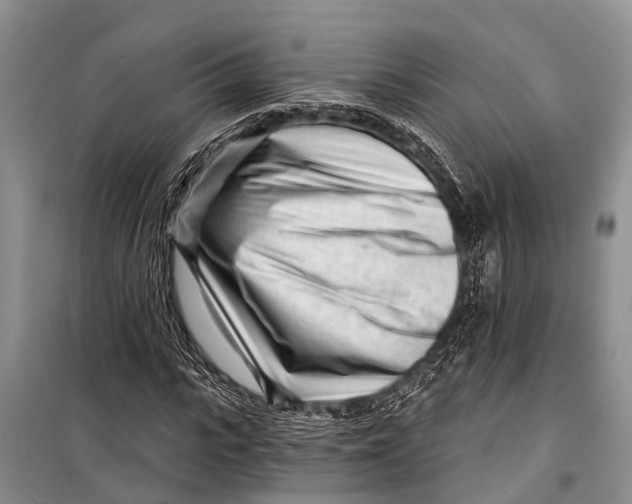 X0000098200919200805151225