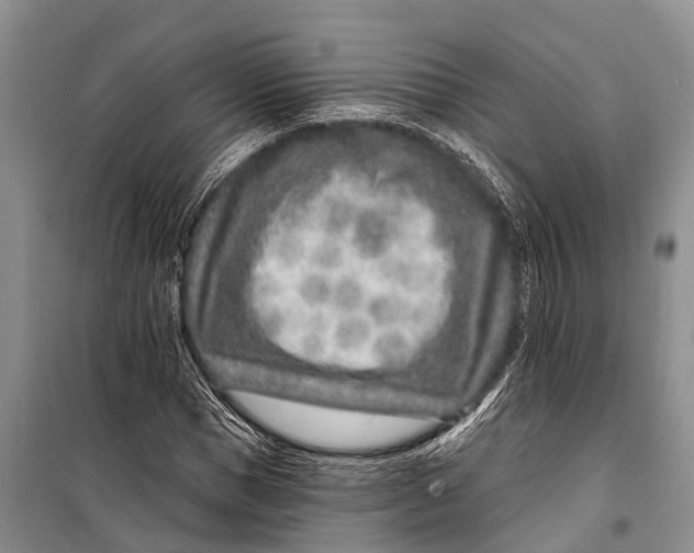 X0000098200921200805151225