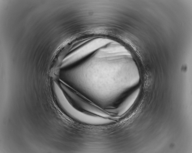 X0000098200922200805151225
