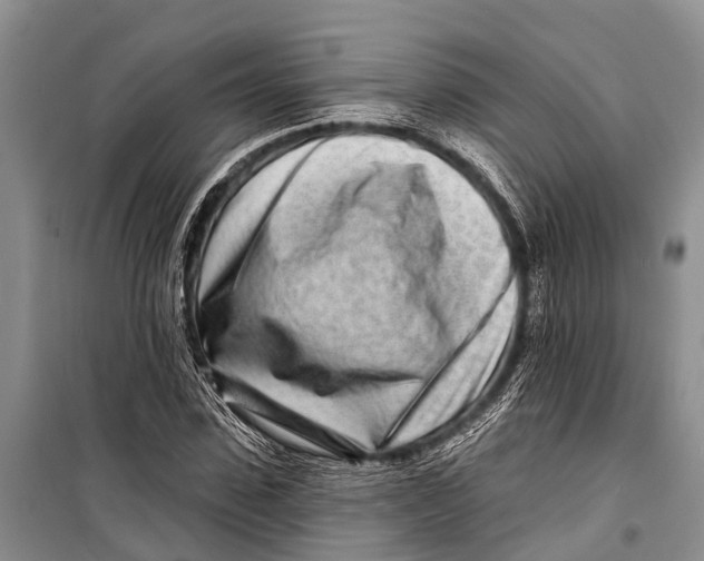 X0000098200923200805151225
