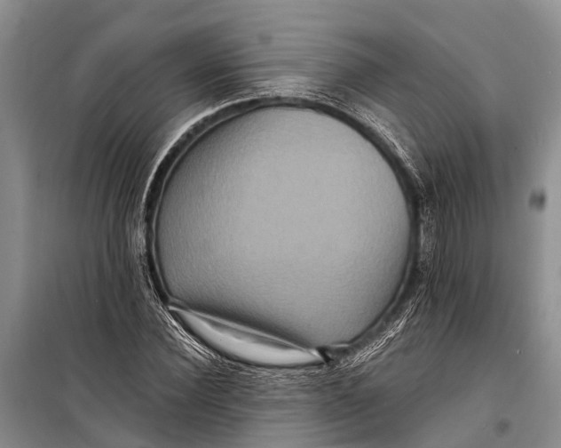 X0000098200924200805151225