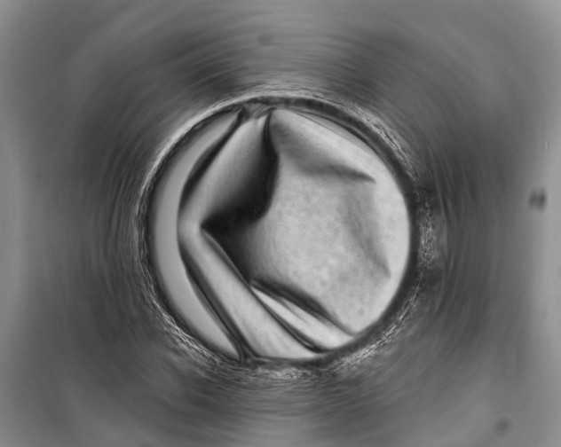 X0000098200926200805151225