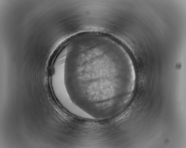 X0000098200927200805151225
