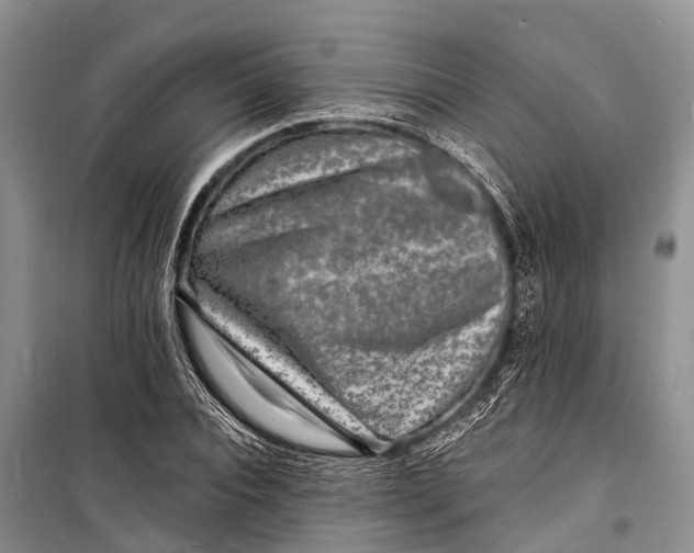 X0000098200928200805151225