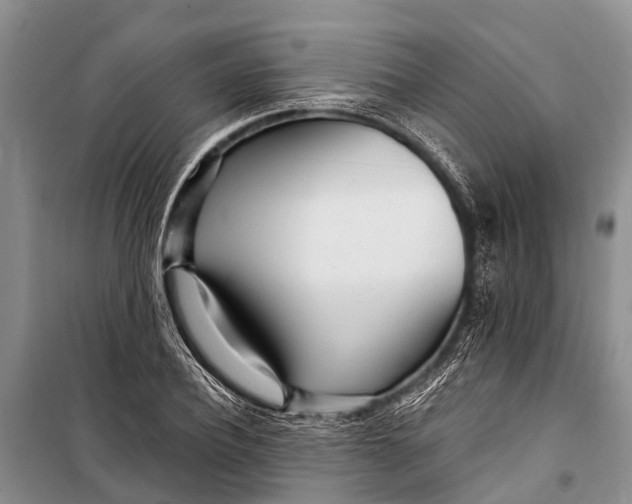 X0000098200932200805151225