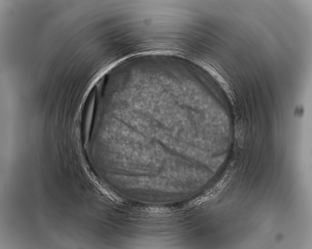 X0000098200933200805151225