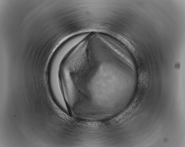 X0000098200934200805151225