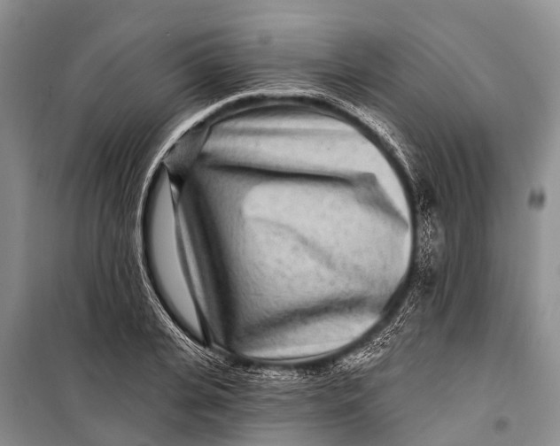 X0000098200935200805151225