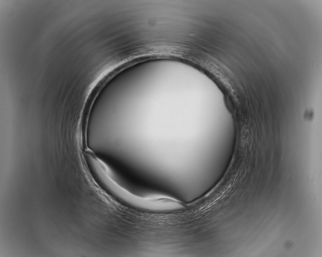 X0000098200936200805151225