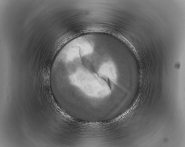 X0000098200937200805151225