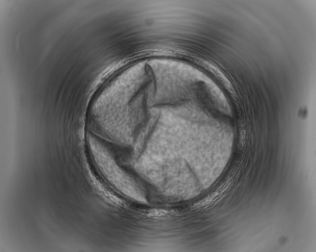 X0000098200938200805151225