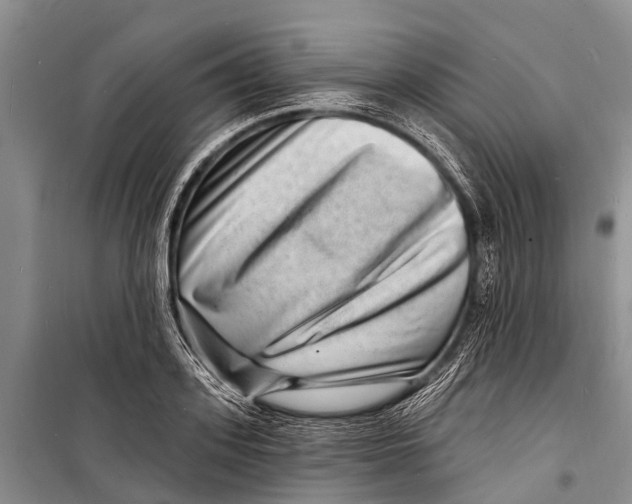 X0000098200939200805151225