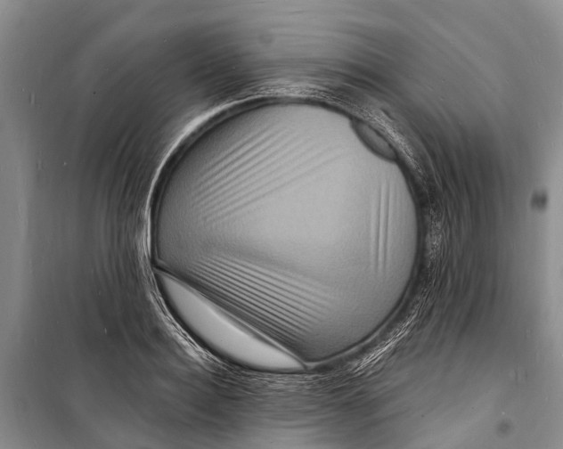 X0000098200940200805151225