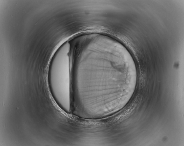 X0000098200941200805151225