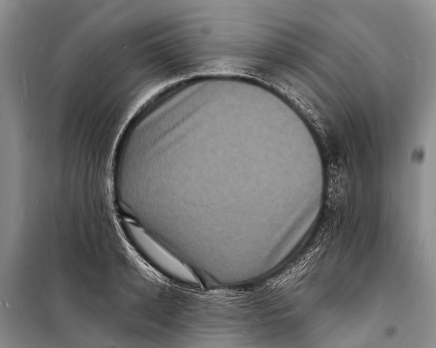 X0000098200942200805151225
