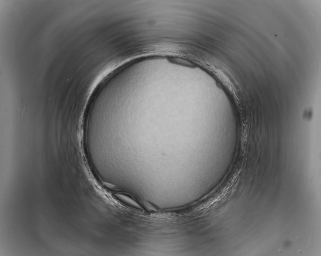X0000098200944200805151225