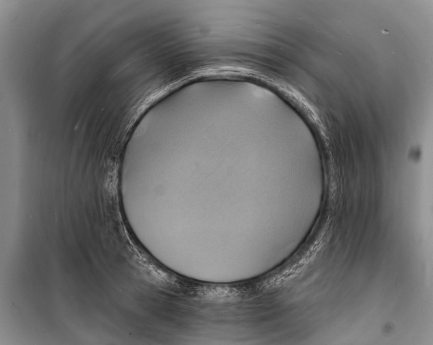 X0000098200945200805151225