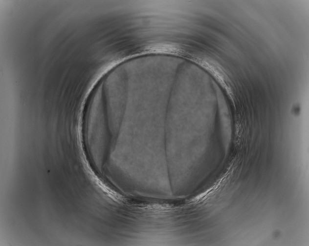 X0000098200947200805151225