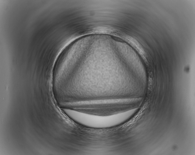 X0000098200948200805151225