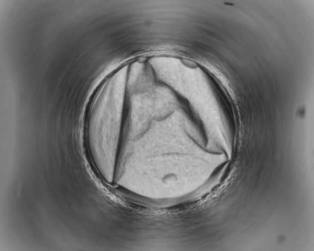 X0000098200949200805151225