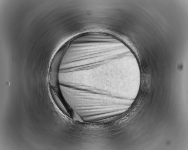 X0000098200951200805151225