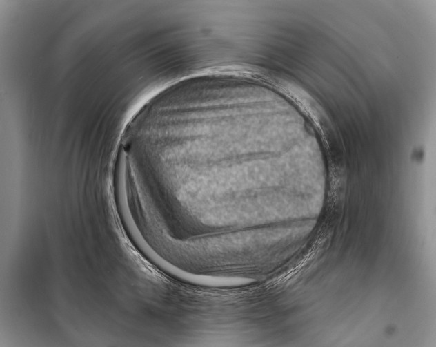 X0000098200952200805151225