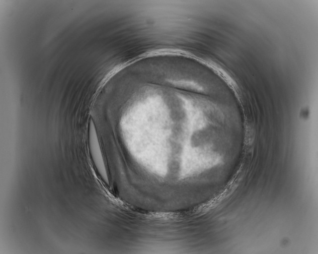 X0000098200953200805151225